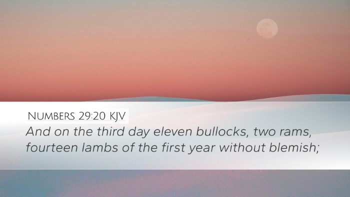 Numbers 29:20 Bible Commentary