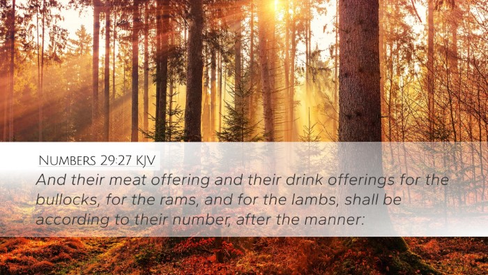 Numbers 29:27 Bible Commentary