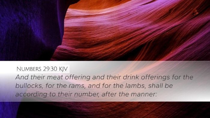 Numbers 29:30 Bible Commentary