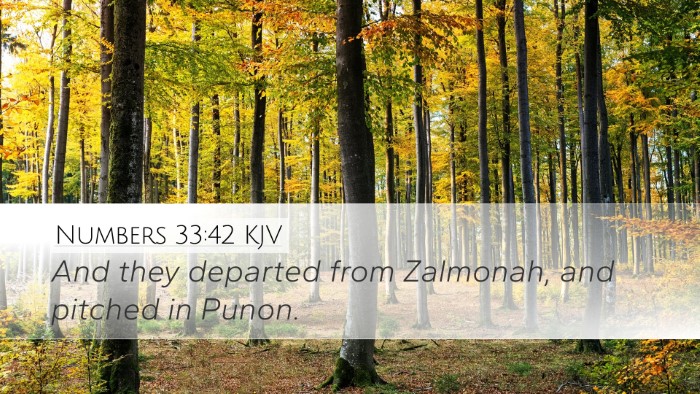 Numbers 33:42 Bible Commentary