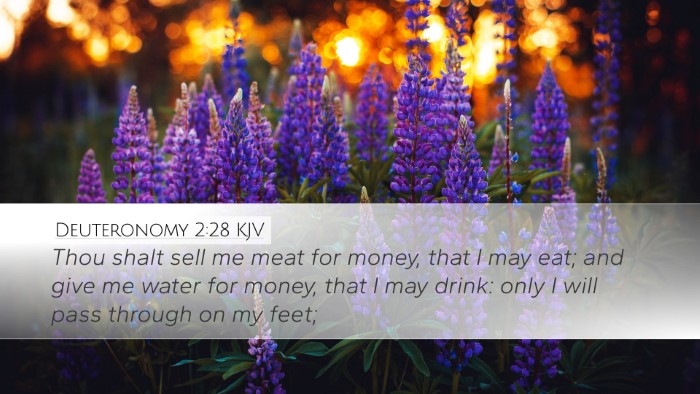 Deuteronomy 2:28 Bible Commentary