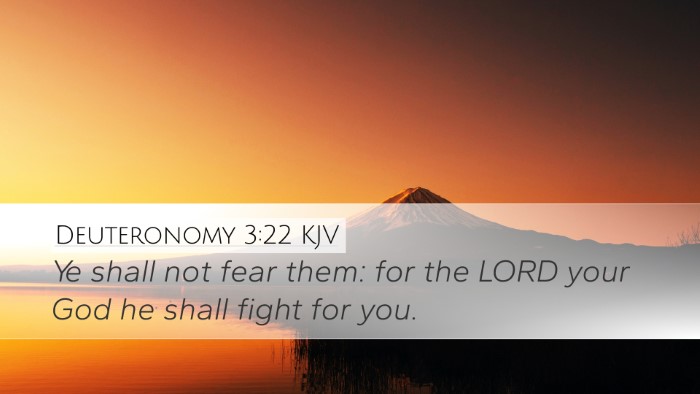 Deuteronomy 3:22 Bible Commentary