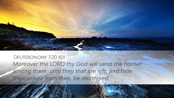 Deuteronomy 7:20 Bible Commentary