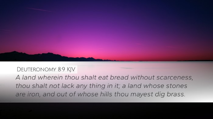 Deuteronomy 8:9 Bible Commentary