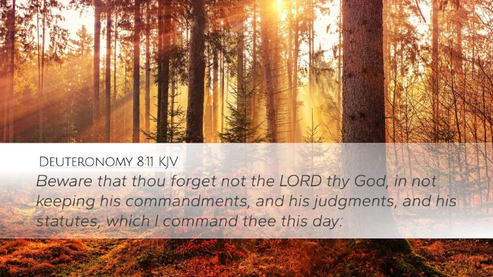 Deuteronomy 8:11 Bible Commentary