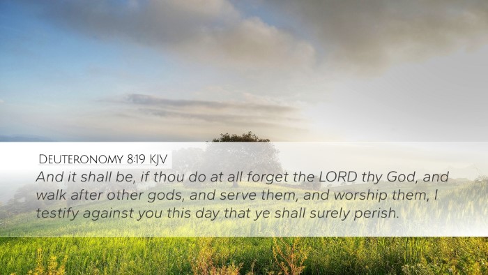 Deuteronomy 8:19 Bible Commentary