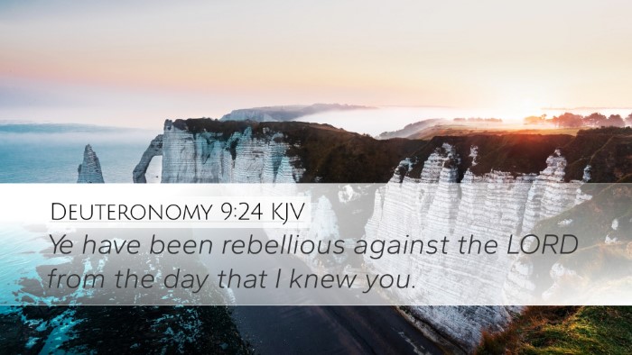 Deuteronomy 9:24 Bible Commentary