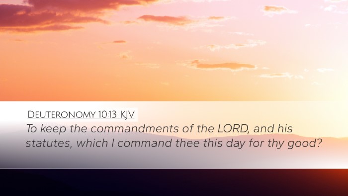 Deuteronomy 10:13 Bible Commentary