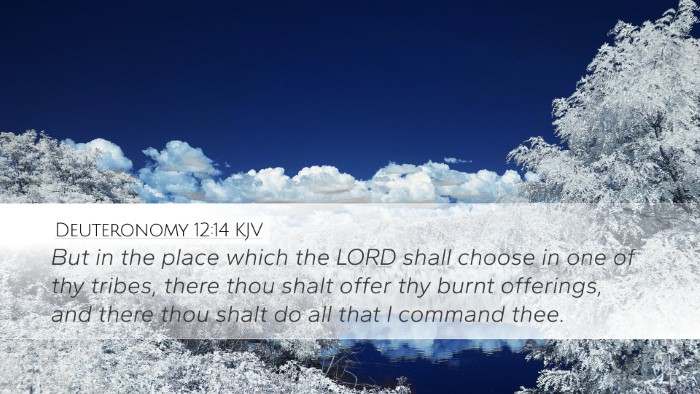 Deuteronomy 12:14 Bible Commentary