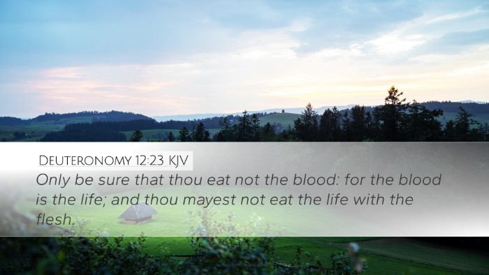 Deuteronomy 12:23 Bible Commentary