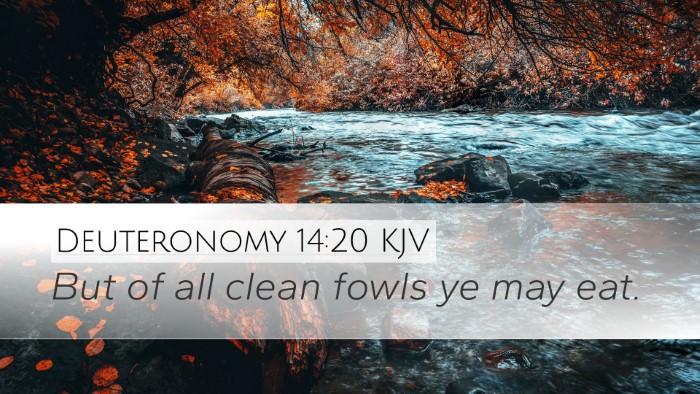 Deuteronomy 14:20 Bible Commentary