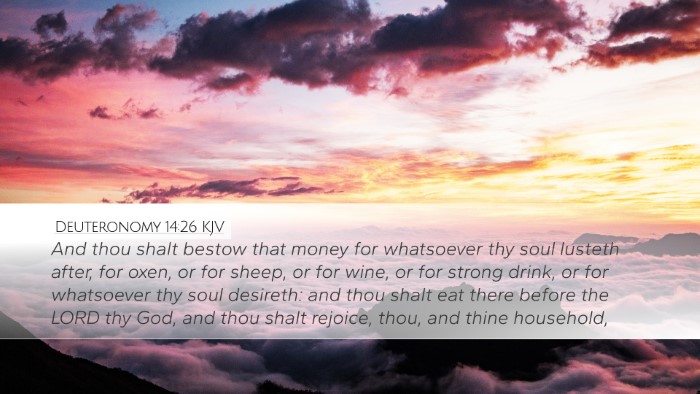 Deuteronomy 14:26 Bible Commentary