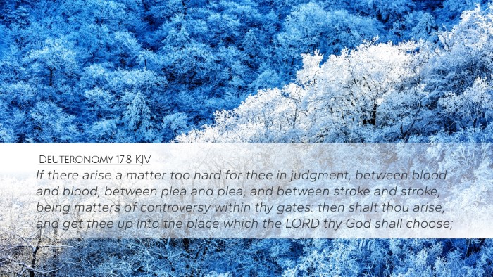 Deuteronomy 17:8 Bible Commentary