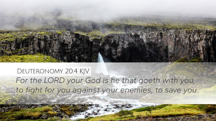 Deuteronomy 20:4 Bible Commentary