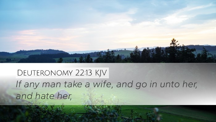 Deuteronomy 22:13 Bible Commentary