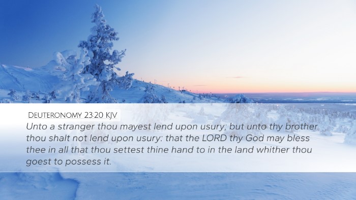 Deuteronomy 23:20 Bible Commentary