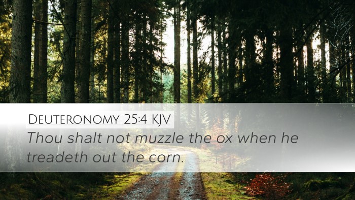 Deuteronomy 25:4 Bible Commentary