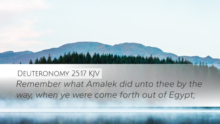 Deuteronomy 25:17 Bible Commentary