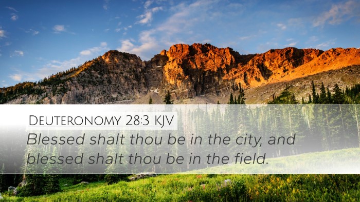 Deuteronomy 28:3 Bible Commentary