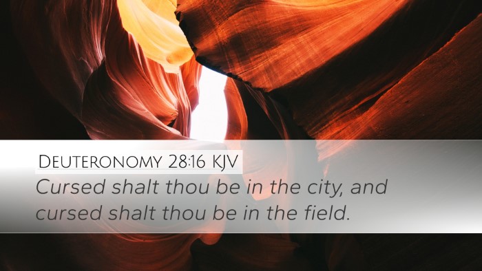 Deuteronomy 28:16 Bible Commentary