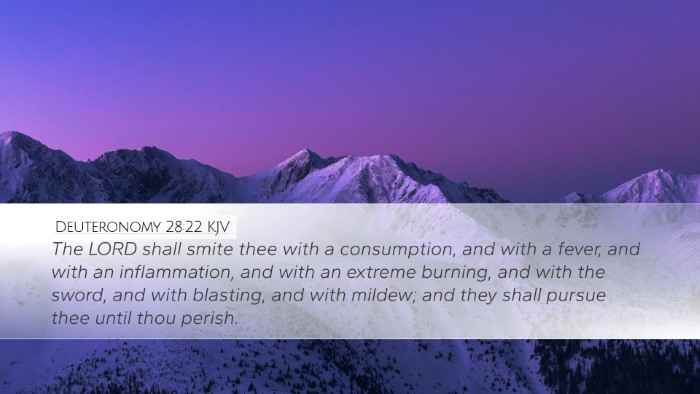 Deuteronomy 28:22 Bible Commentary