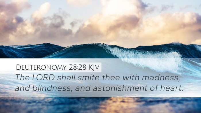 Deuteronomy 28:28 Bible Commentary