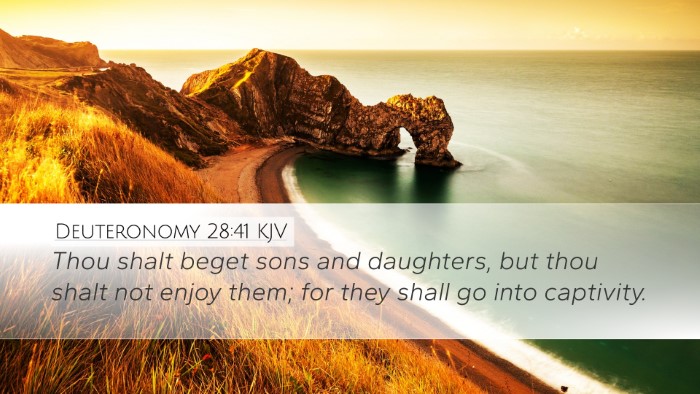 Deuteronomy 28:41 Bible Commentary