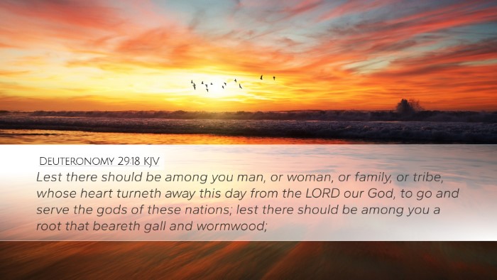 Deuteronomy 29:18 Bible Commentary