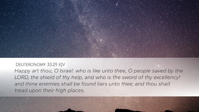 Deuteronomy 33:29 Bible Commentary