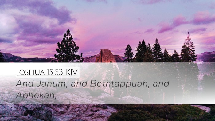 Joshua 15:53 Bible Commentary