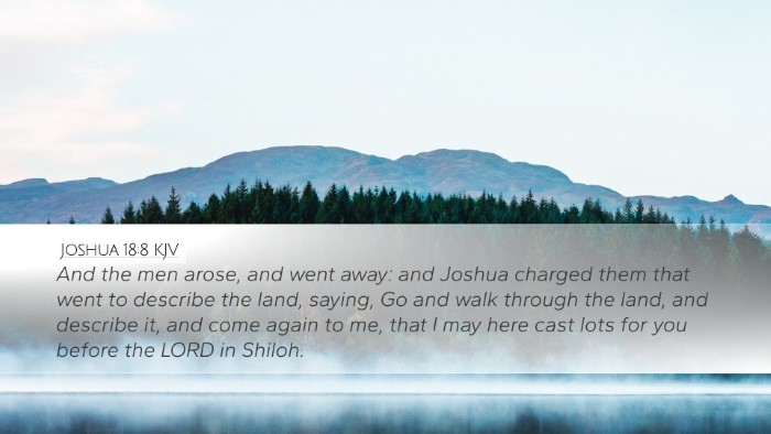 Joshua 18:8 Bible Commentary