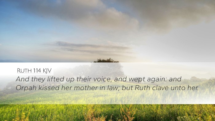 Ruth 1:14 Bible Commentary