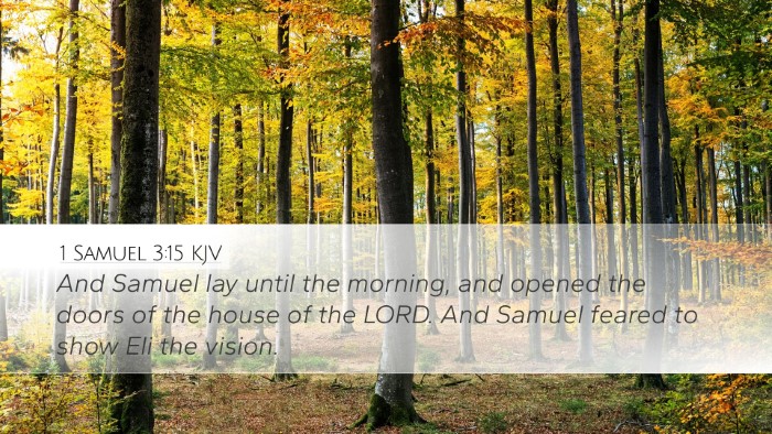 1 Samuel 3:15 Bible Commentary