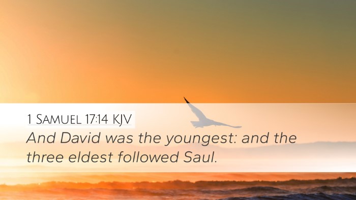 1 Samuel 17:14 Bible Commentary