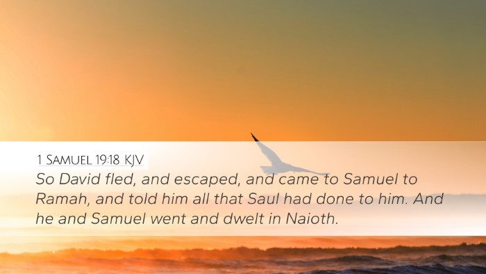 1 Samuel 19:18 Bible Commentary