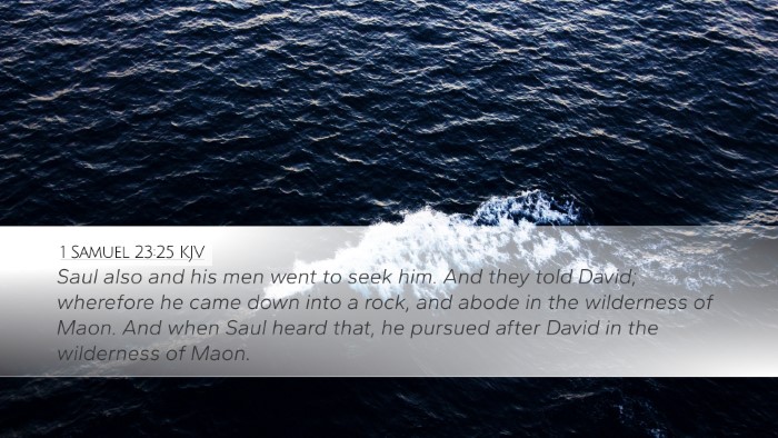 1 Samuel 23:25 Bible Commentary