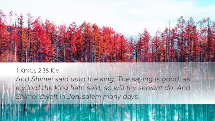 1 Kings 2:38 Bible Commentary