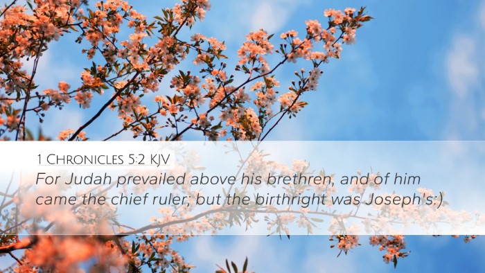 1 Chronicles 5:2 Bible Commentary