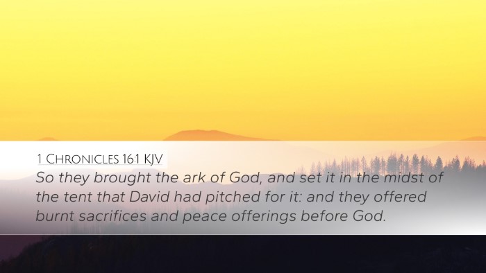 1 Chronicles 16:1 Bible Commentary