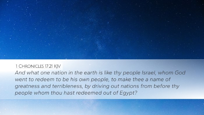 1 Chronicles 17:21 Bible Commentary