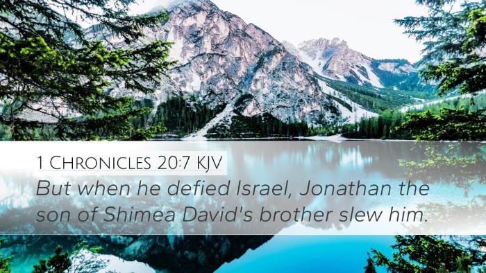 1 Chronicles 20:7 Bible Commentary