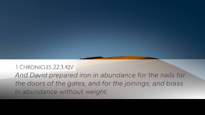 1 Chronicles 22:3 Bible Commentary