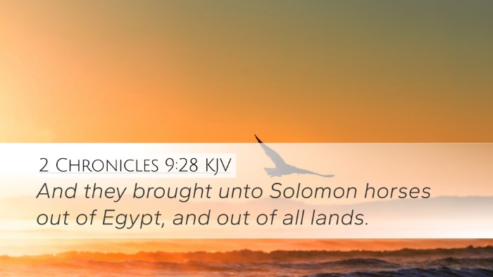 2 Chronicles 9:28 Bible Commentary