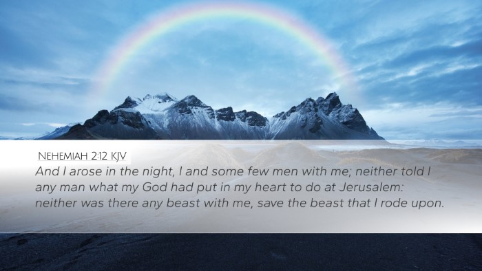 Nehemiah 2:12 Bible Commentary