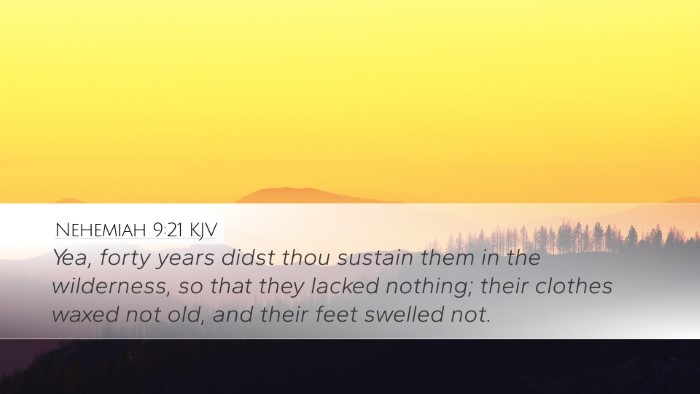 Nehemiah 9:21 Bible Commentary