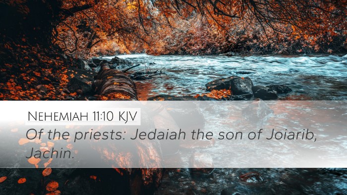 Nehemiah 11:10 Bible Commentary