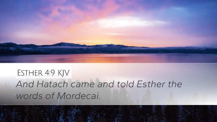 Esther 4:9 Bible Commentary