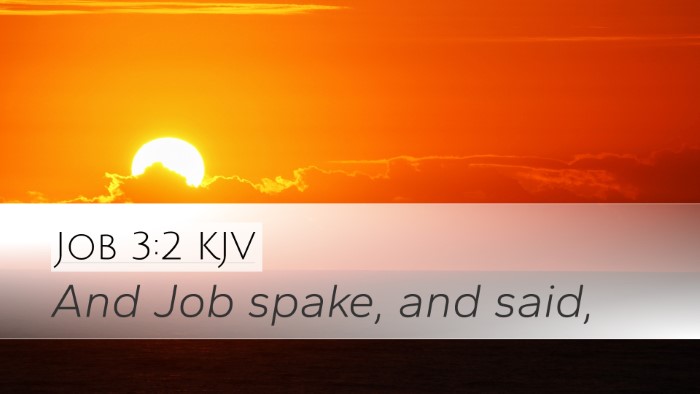 Job 3:2 Bible Commentary