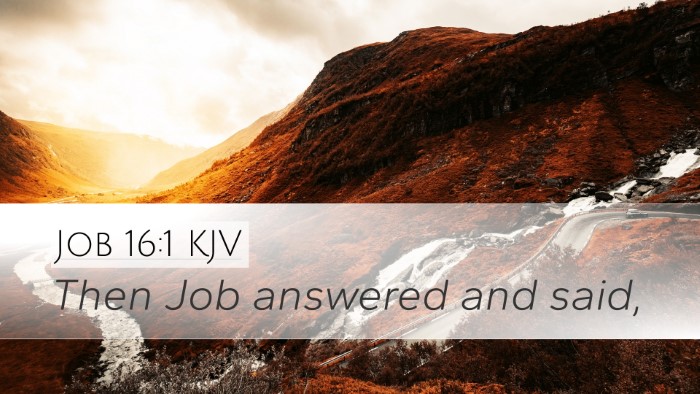 Job 16:1 Bible Commentary