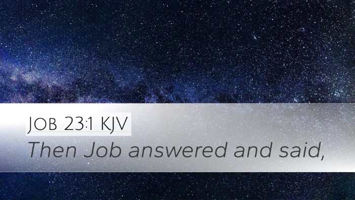 Job 23:1 Bible Commentary